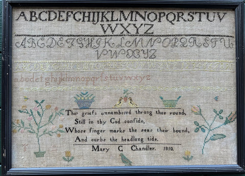 Mary And Meribah Chandler (Pink) (Cross Stitch Antiques)