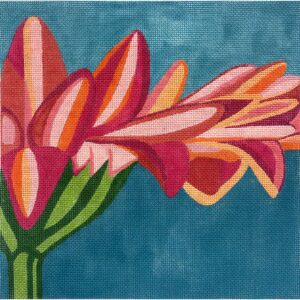 Orange Gerber Daisy