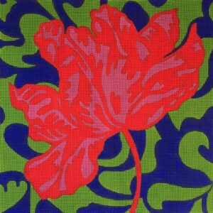 Tulip/Cerise 