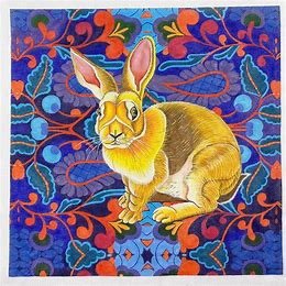 Rabbit - 13M