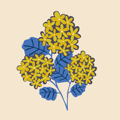 Flowers - 050622.1