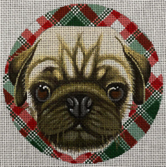 Pug