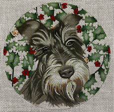 Schnauzer 
