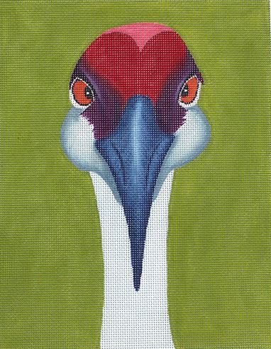 Sandhill Crane - 13M