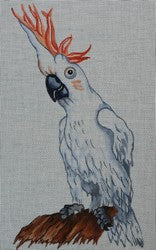 Cockatoo