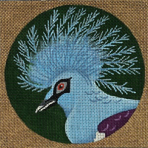 Crowned Pigeon - New Guinea