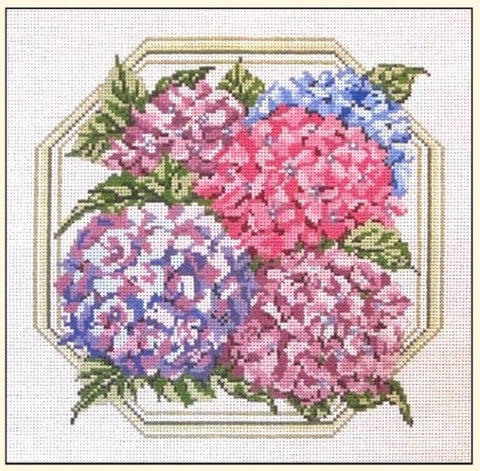 Hydrangea Group/Border