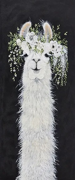 Dolly Llama