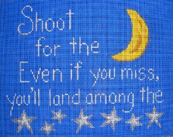 Shoot for the Moon ... If You Miss...