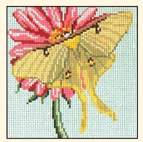 Luna Moth - 13M