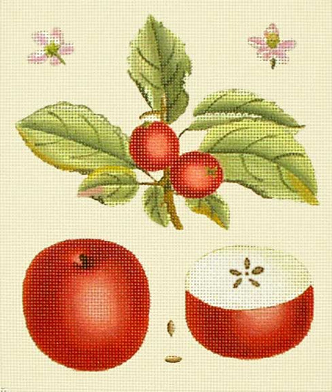 Red Apple Botanical