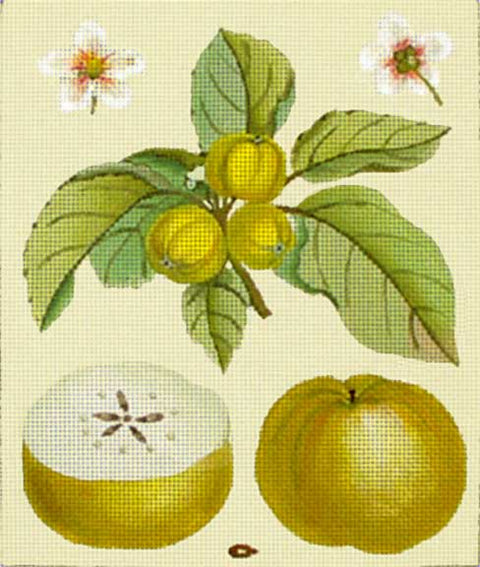 Green Apple Botanical