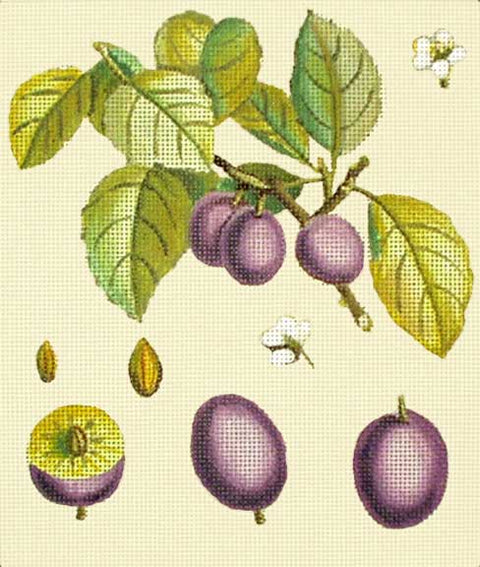 Purple Plum Botanical