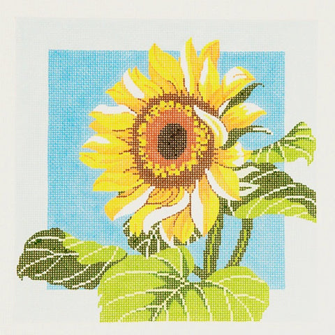Sunflower on Blue