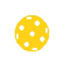Pickleball