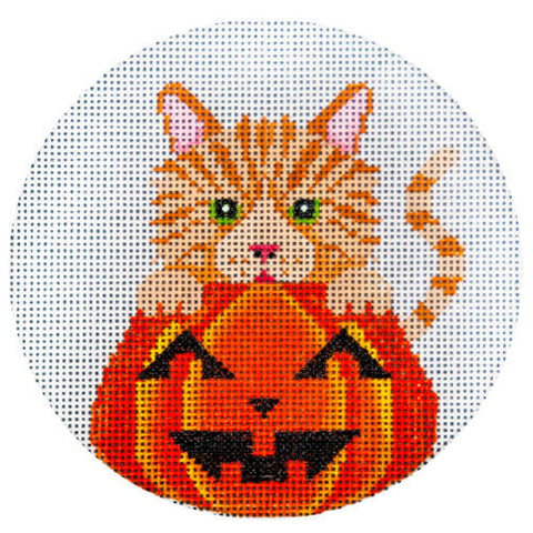 Orange Tabby and Pumpkin