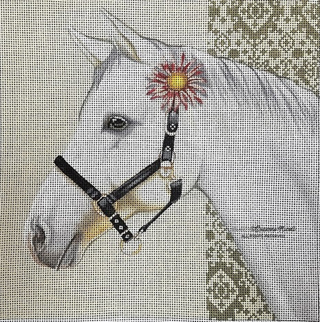Equestrian Grey