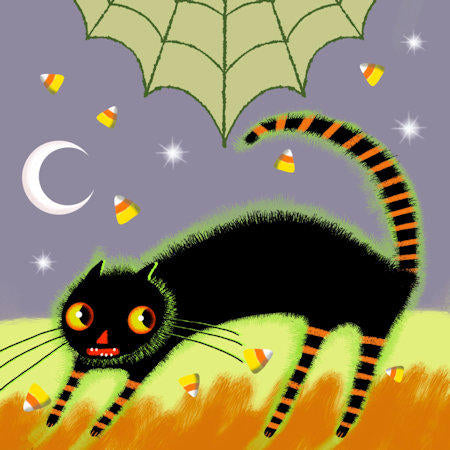 Scaredy Cat