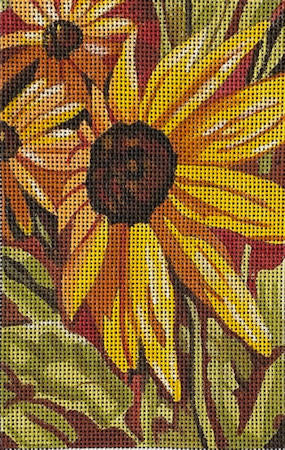 Rudbeckia