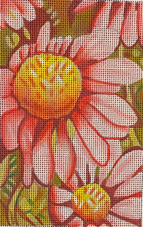 Cone Flowers