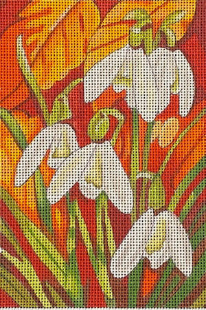 Snow Drops