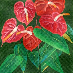Giant Anthurium - 18 Count