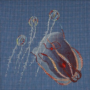 Sea Gooseberries And Comb Jelly