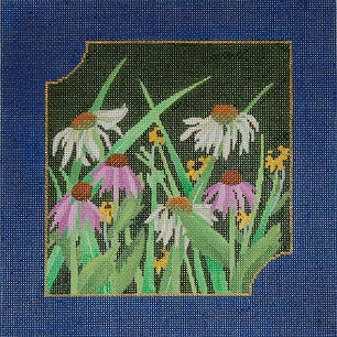 Echinacea And Black-Eyed Susans