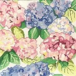Lovely Hydrangeas 1