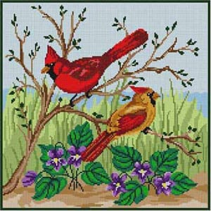 Cardinal and Violets