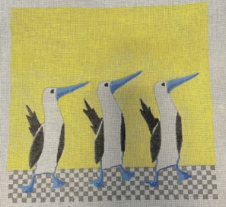Dancin Boobys