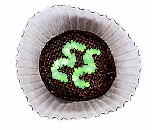 Candy - Mint Cream