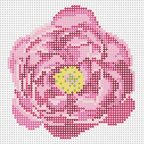 Mini Peony