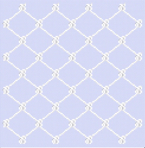 Fishing Net