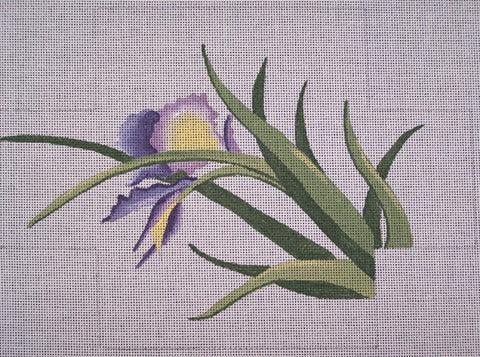 Iris Brick Cover