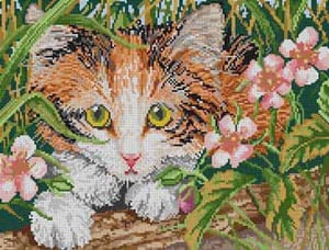 Kitten and Flowers