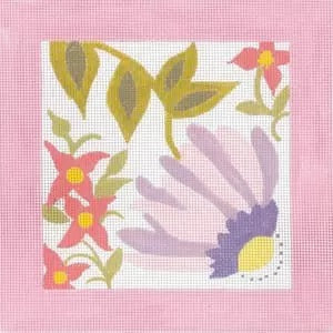 Pastel Pink Window - Coneflower
