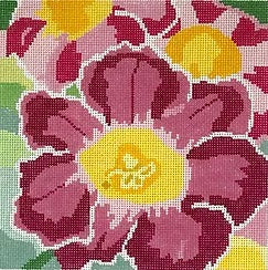 Small Gloxinia 1