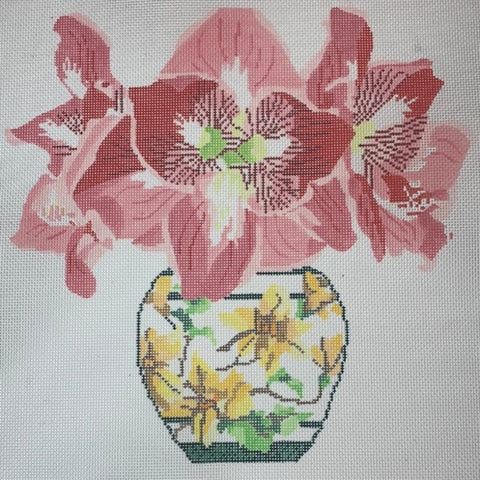 Amaryllis in Japanese Vase