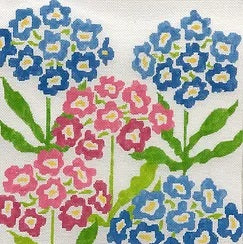 Spring Primroses