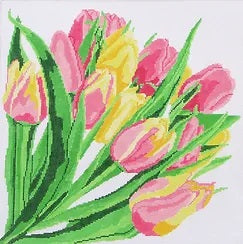 Pink and Yellow Tulips