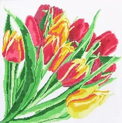 Red and Yellow Tulips