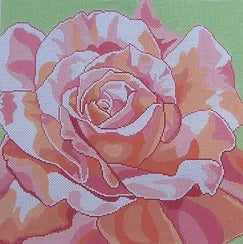 Summer Rose