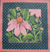 Pink  Echinacea