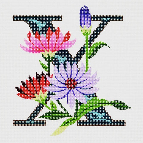 X - Xeranthemum