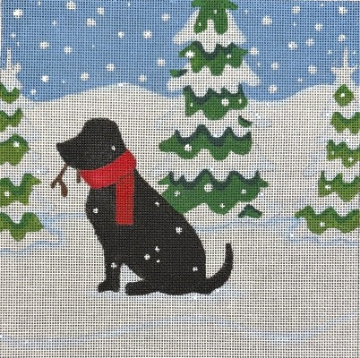 Black Lab in Snow - 18M