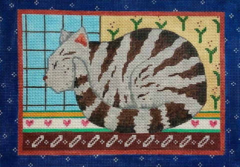 Gray Tabby Cat 