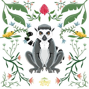 Ring Tailed Lemur