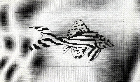 Black/White Fish