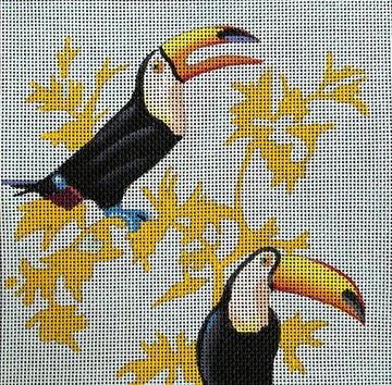 Toucans